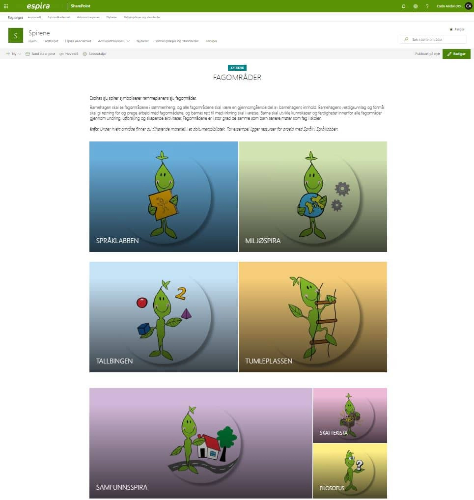 Skjermbilde-fagområder